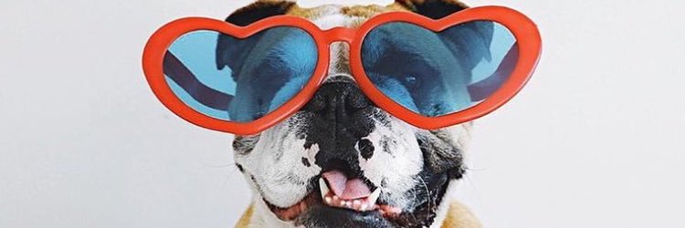 jesshaygood's profile banner image