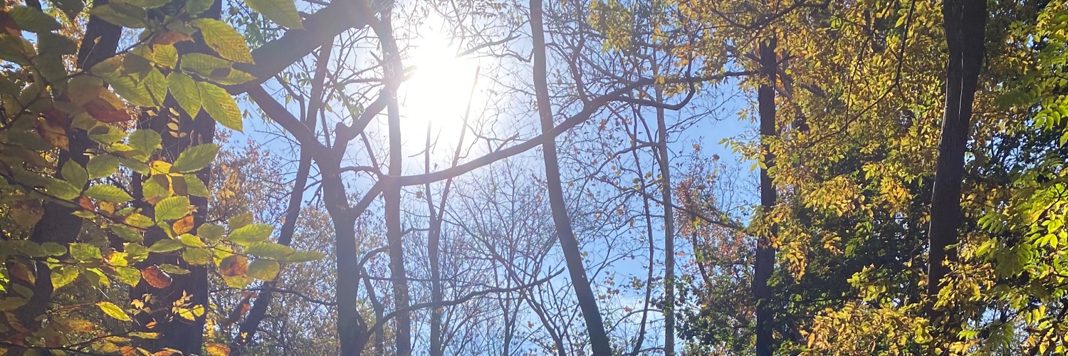 Lauren Lockwood banner