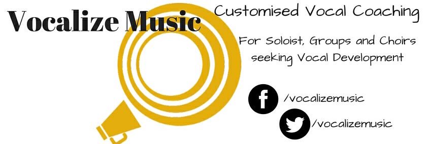 VocalizeMusic's profile banner image