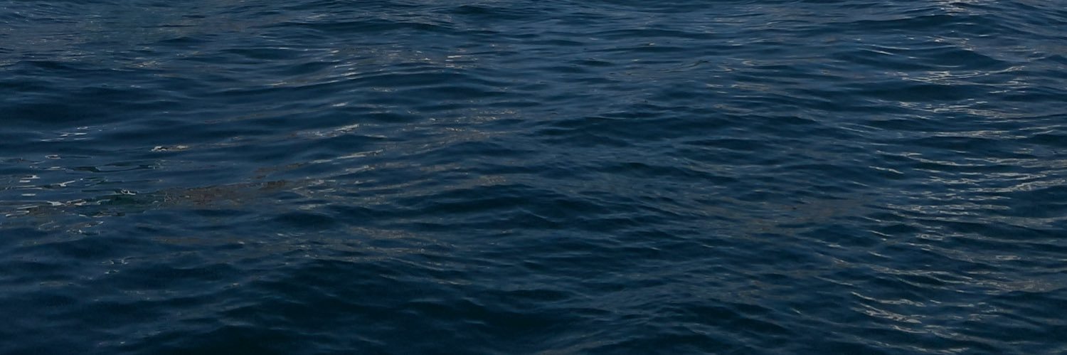 krisbazanc's profile banner image