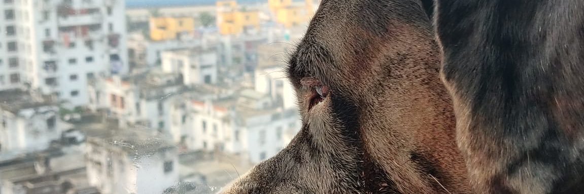 kv0784's profile banner image