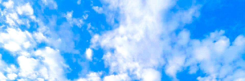 EveelinL's profile banner image