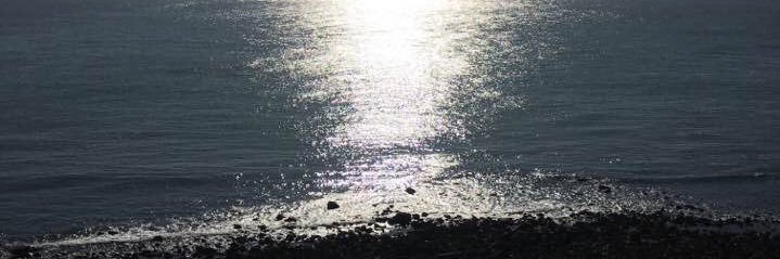 Suz banner