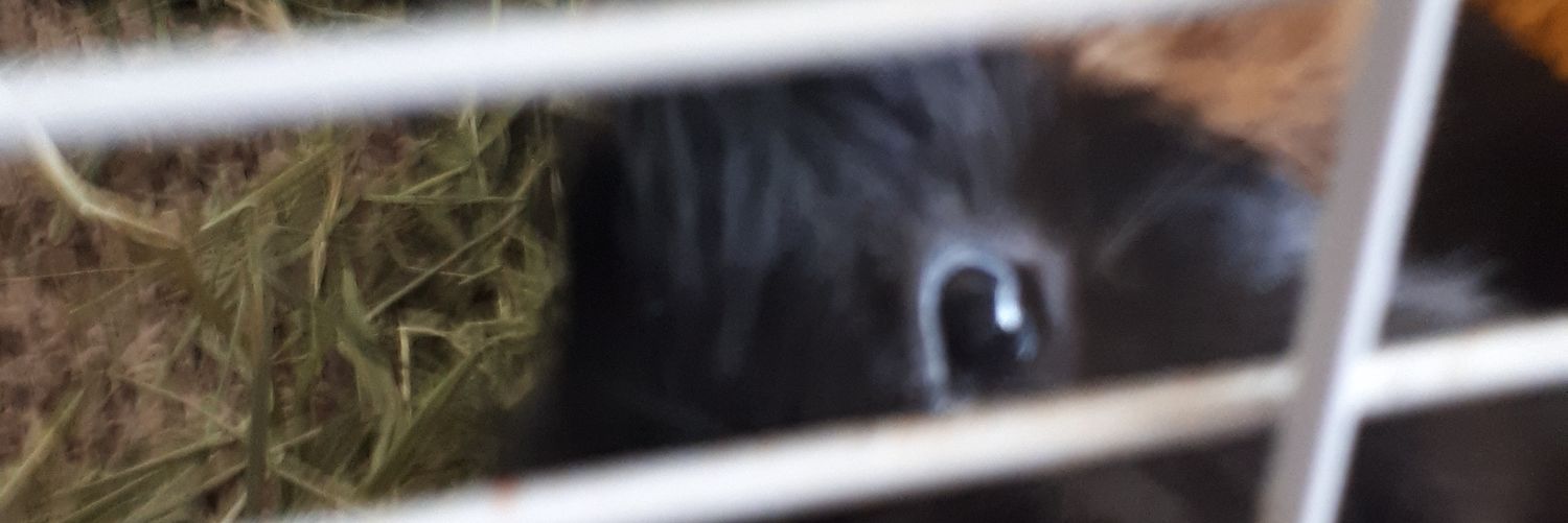 scottfufkin's profile banner image