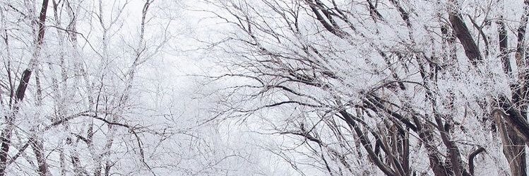 diyalupa's profile banner image