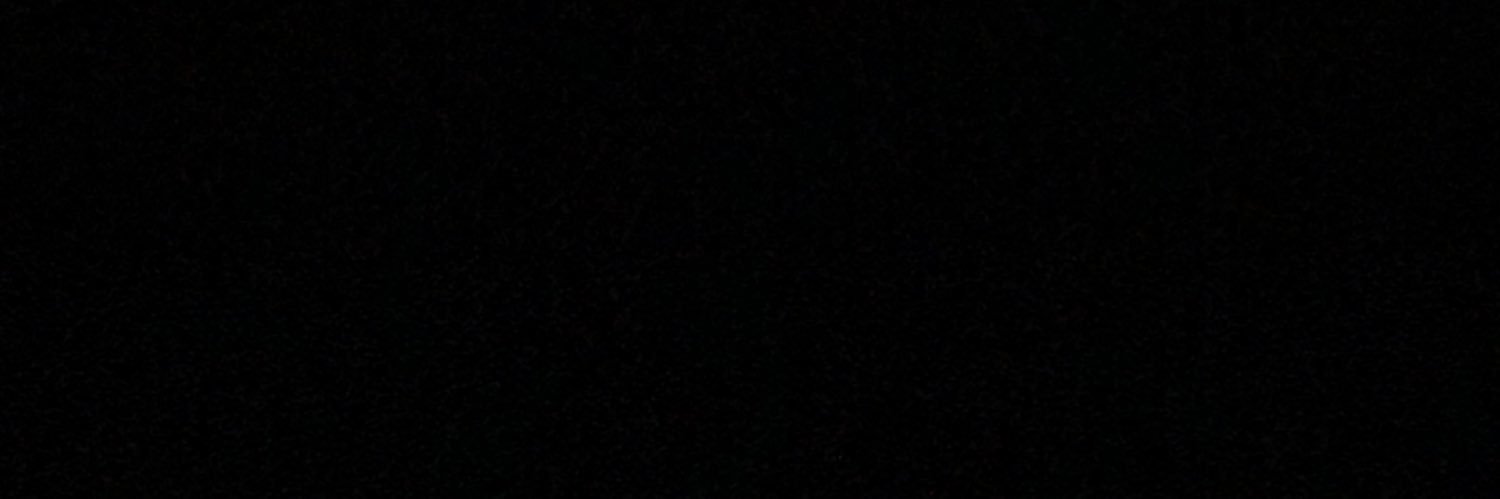 vampirevixenvt's profile banner image