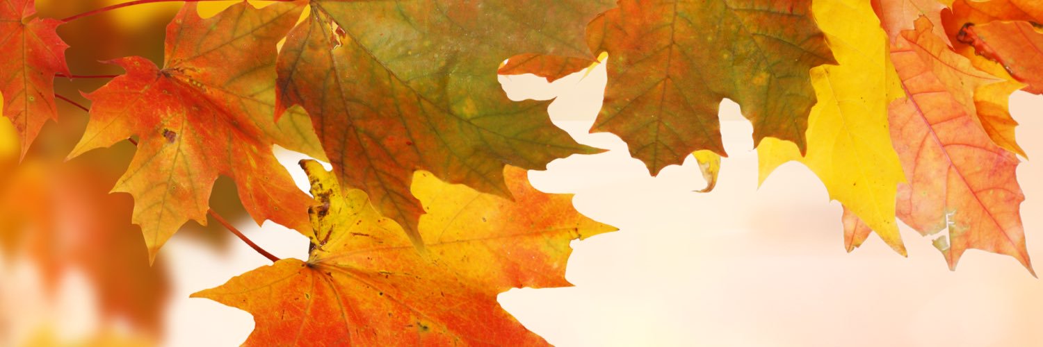 logannedirusso's profile banner image
