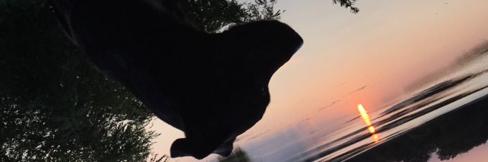 Pyzee4's profile banner image