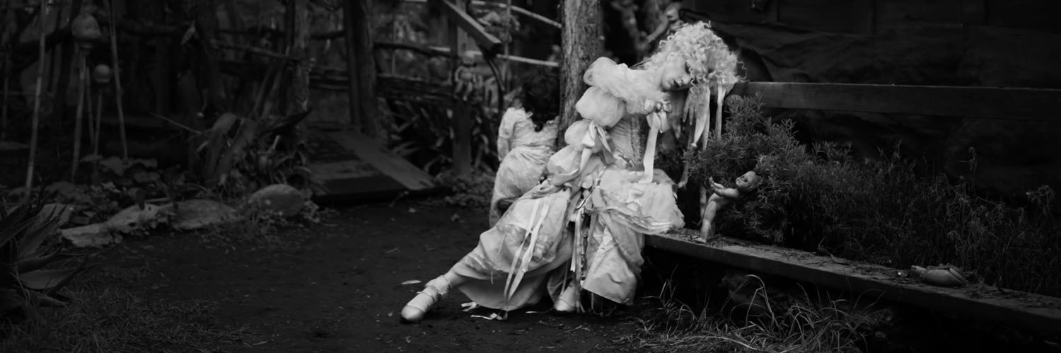 FloVanDeKamp's profile banner image