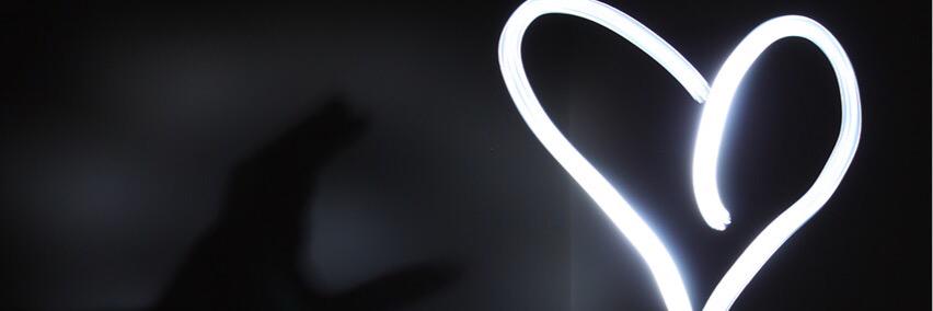 turtlekwong's profile banner image