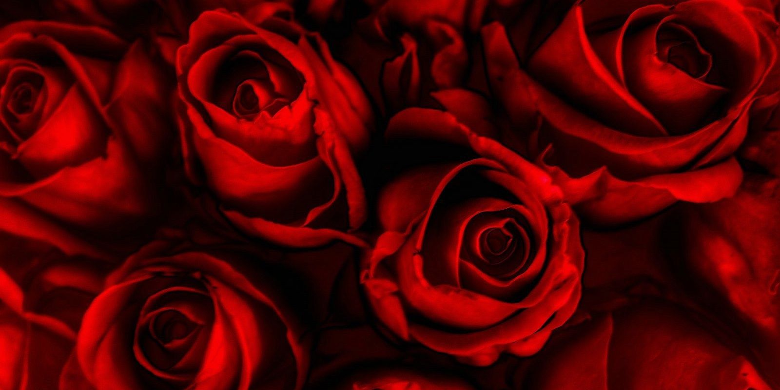 Al_asmaHU's profile banner image