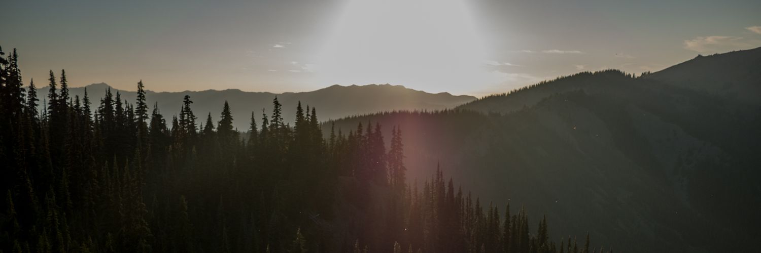 Sravanthi Parasa MD banner