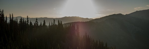 sravmd Profile Banner