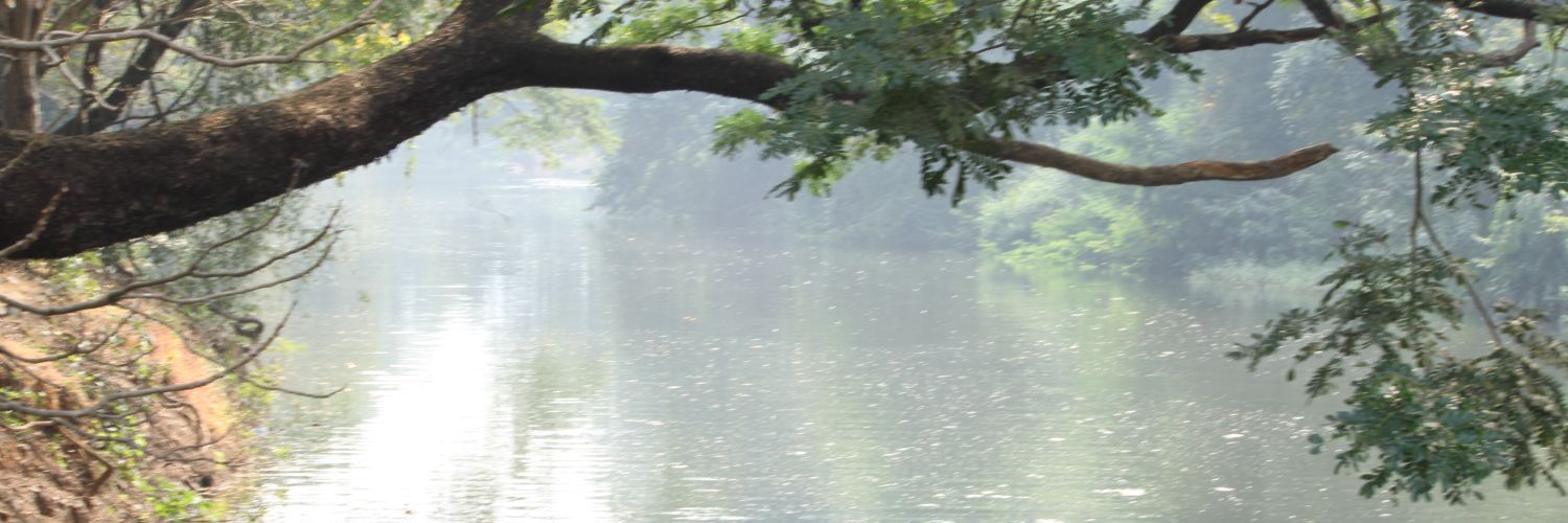 amitontheweb's profile banner image