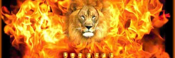 𝐋𝐨𝐠𝐚𝐧𝟕𝟕𝐁𝐥𝐚𝐜𝐤𝐒𝐡𝐚𝐫𝐤 banner