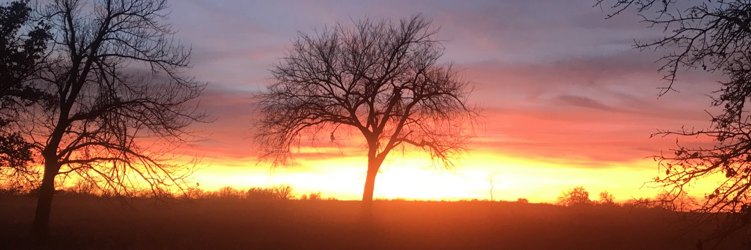 RandallArtWorks banner