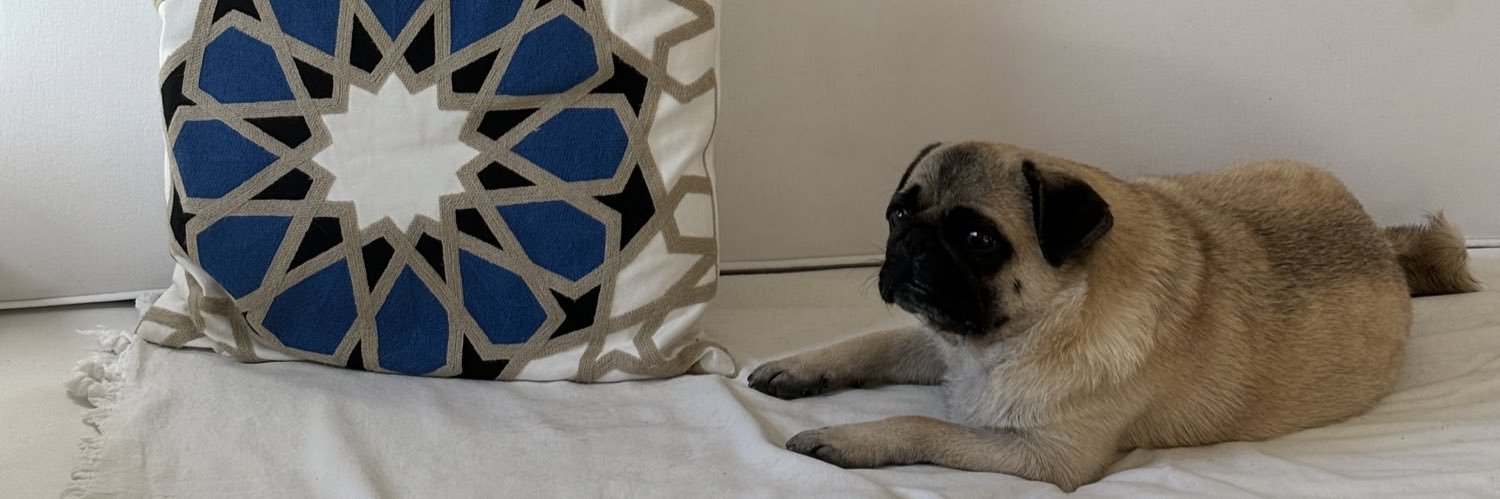minnoosh's profile banner image