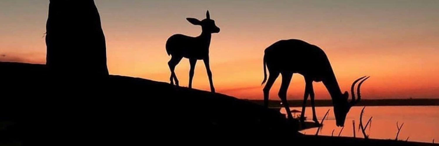 RalphEd_'s profile banner image