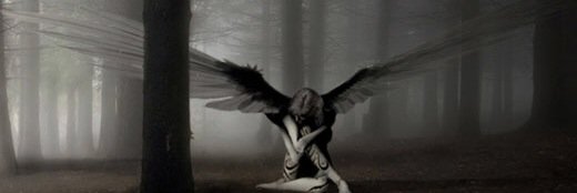RachelJZucca7's profile banner image
