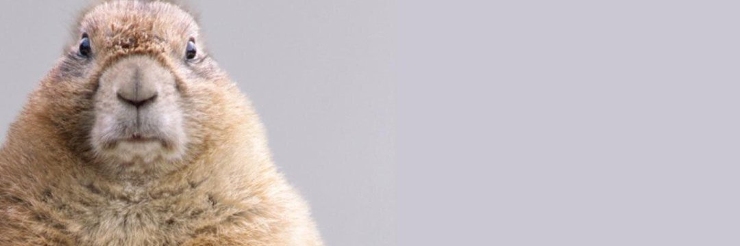 D_Daly1's profile banner image