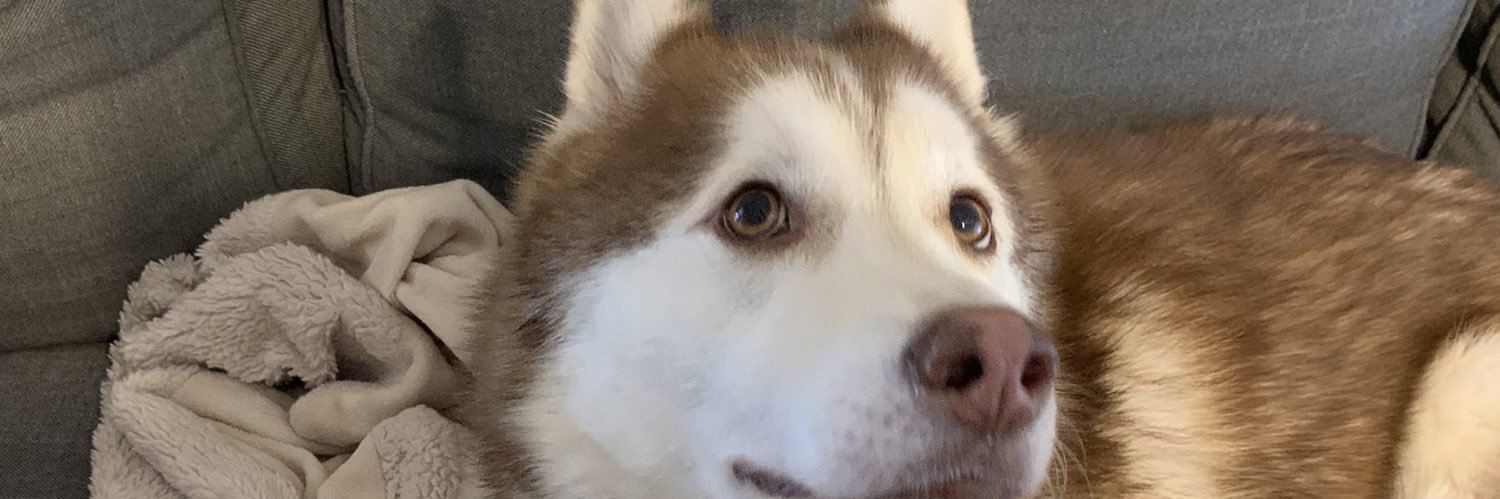 Traviss10's profile banner image