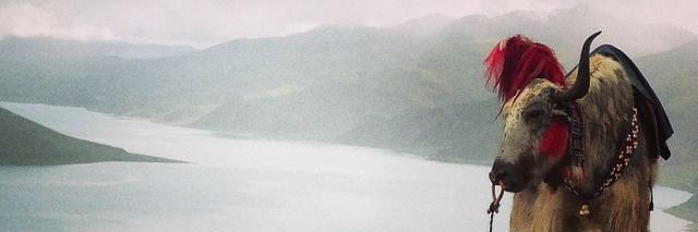 andreaseves's profile banner image