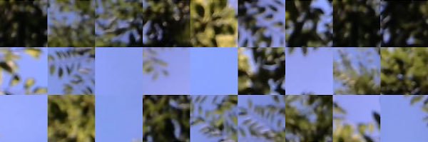 marinaprickett's profile banner image