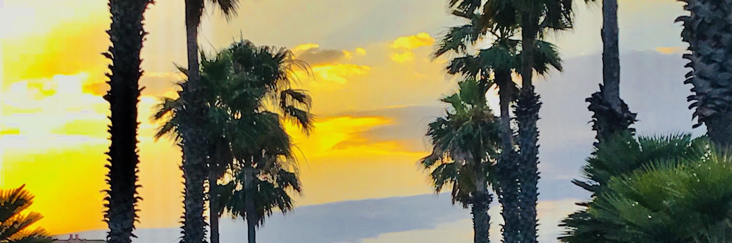 joetonkin's profile banner image