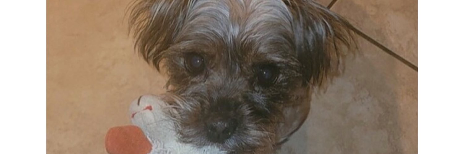 cmvney's profile banner image