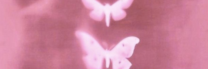 laeelaeeee's profile banner image