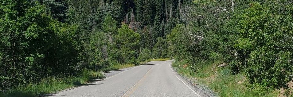 DNayak26's profile banner image