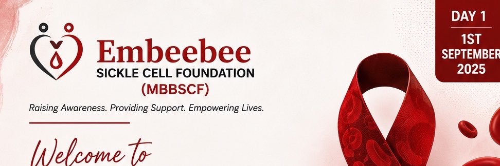 embeebeeSCF's profile banner image