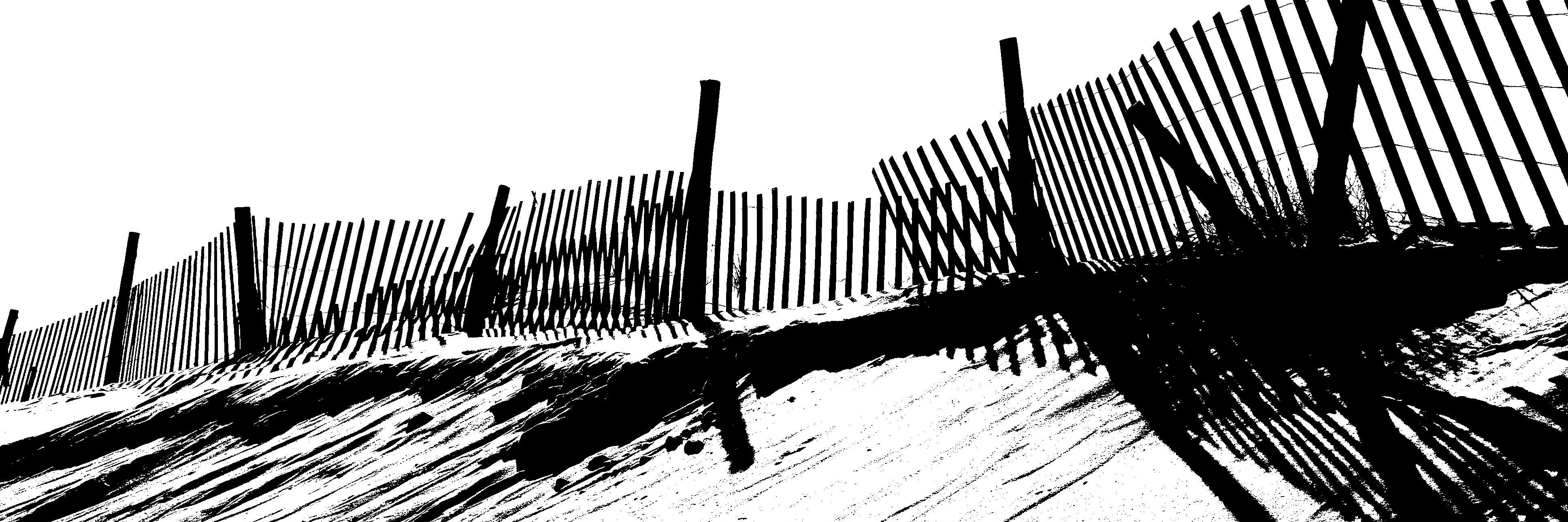 Meredith_Winner's profile banner image