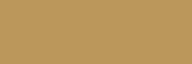 Scelomdunge_'s profile banner image
