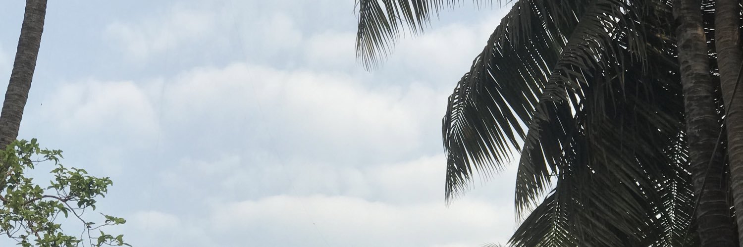 shersonal's profile banner image