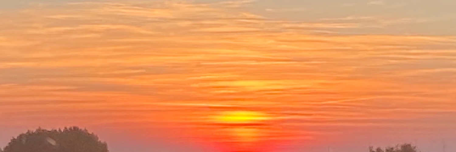levitesides's profile banner image