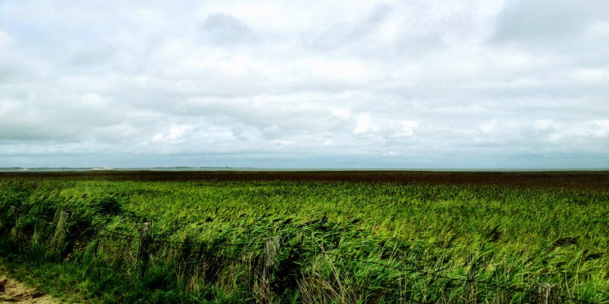 zwitscherMe's profile banner image