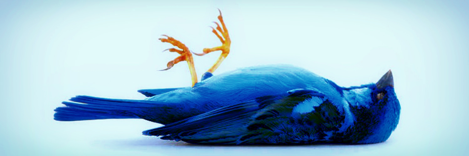 GBCompliance's profile banner image