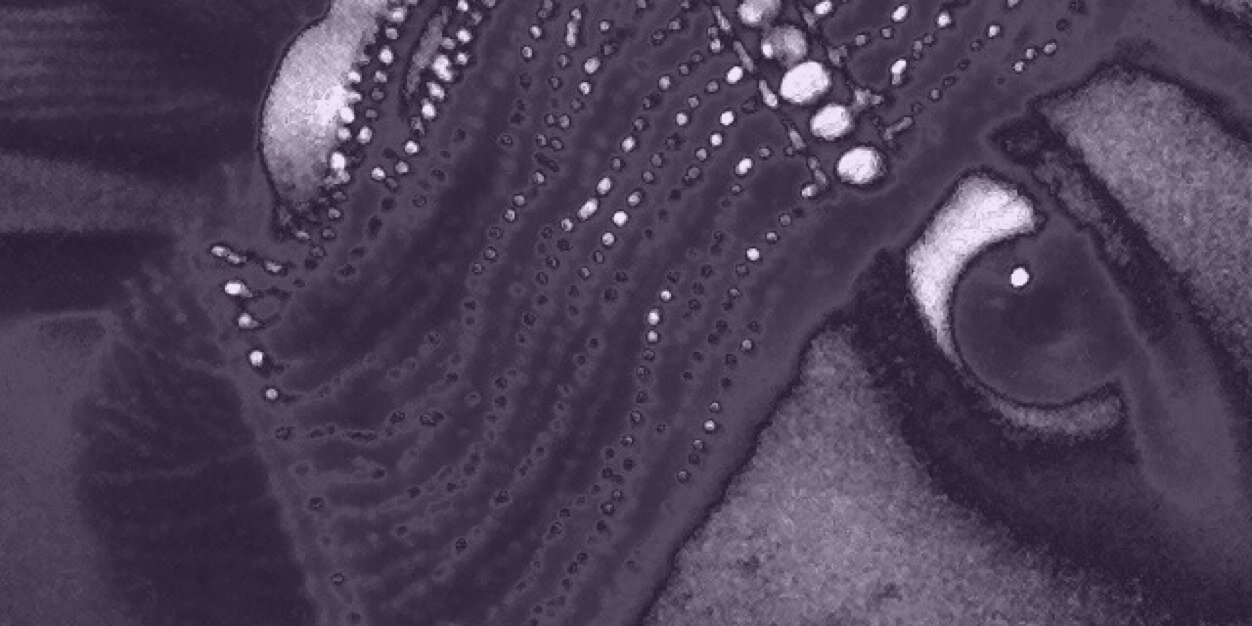 BrieFrench's profile banner image