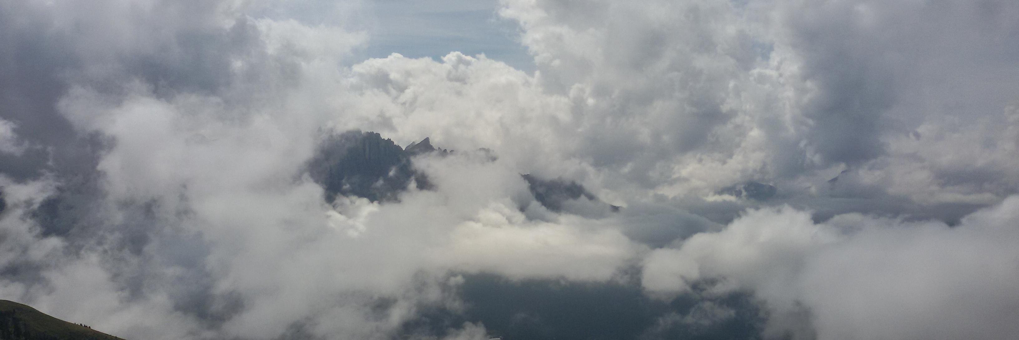 David Scaccia banner