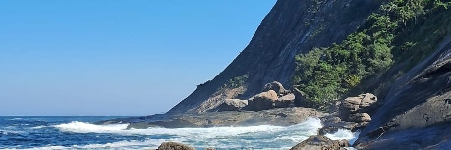 brunacorty's profile banner image
