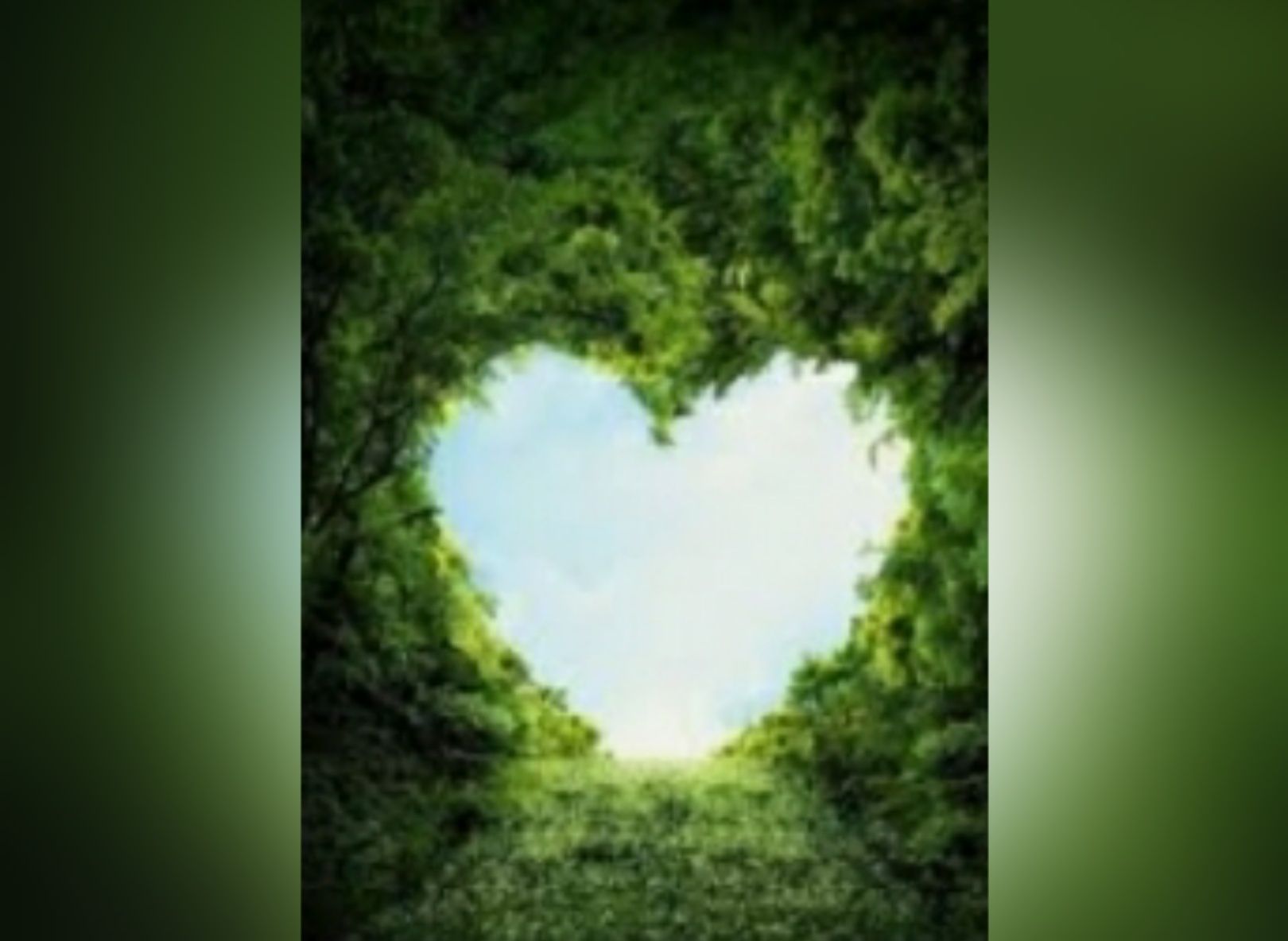 jodib1986's profile banner image