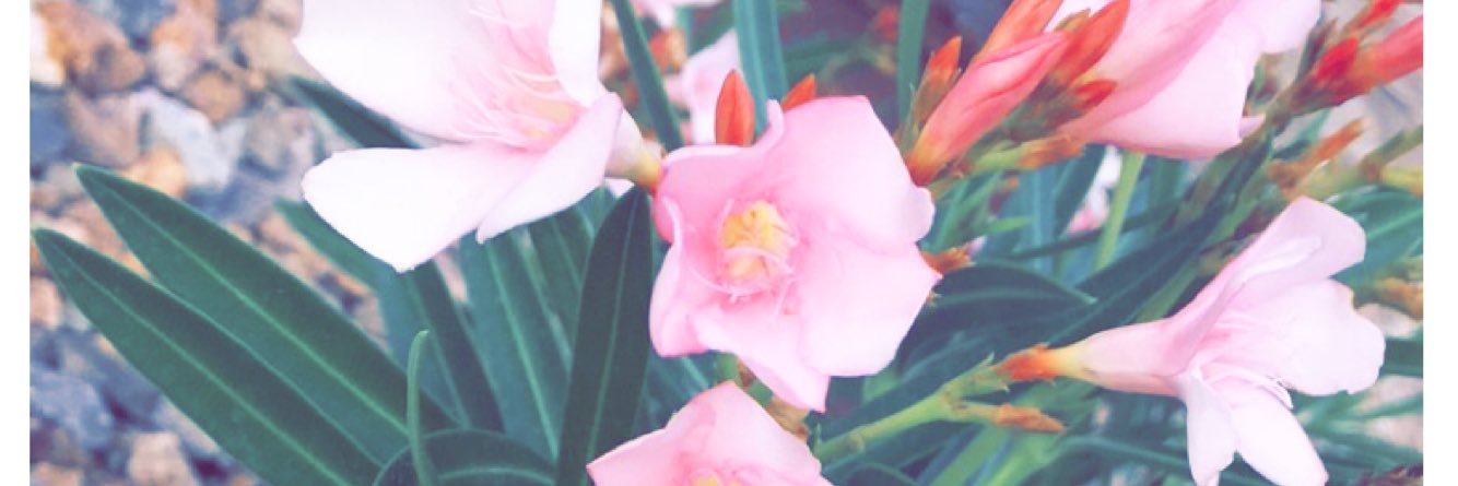 em_ilygrace_'s profile banner image