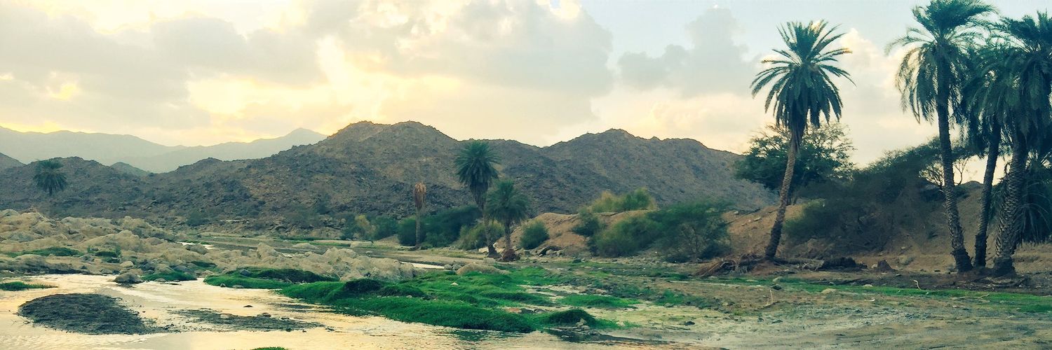 ali_jamaan99's profile banner image