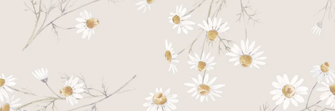 hellomikaella's profile banner image