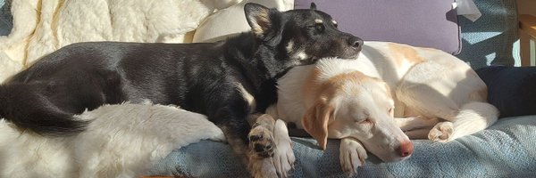 rach0907 Profile Banner