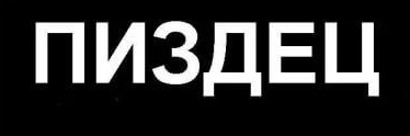 l__lemur's profile banner image