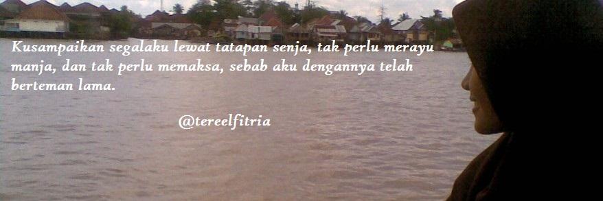 tereelfitria's profile banner image