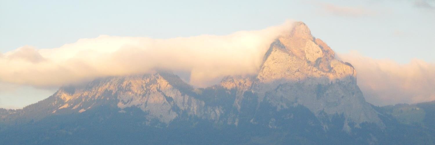 Michele Grange MITI banner