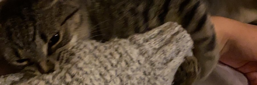 cheeseblocks's profile banner image